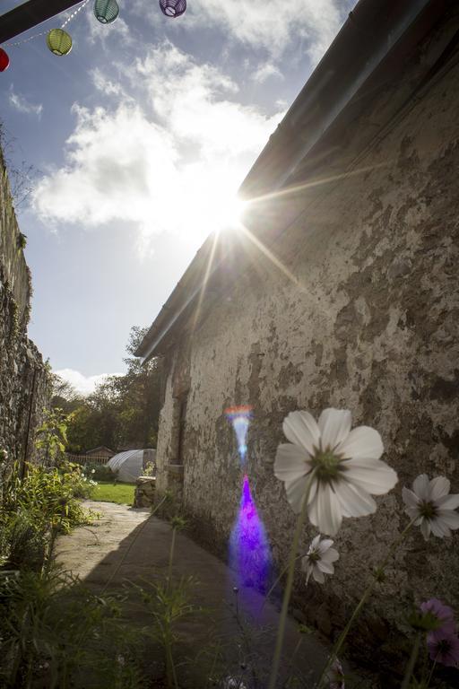 The Black Sheep Hostel Killarney Exterior foto