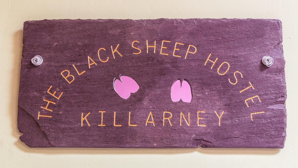 The Black Sheep Hostel Killarney Exterior foto